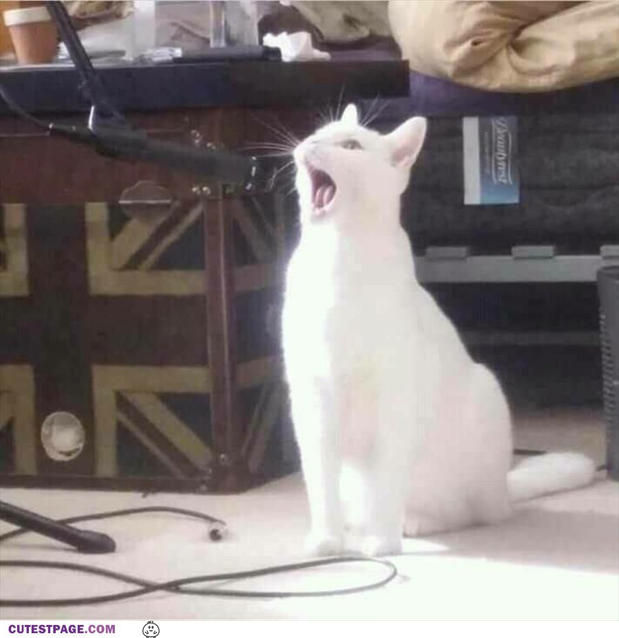 Sing You The Song Of My People
