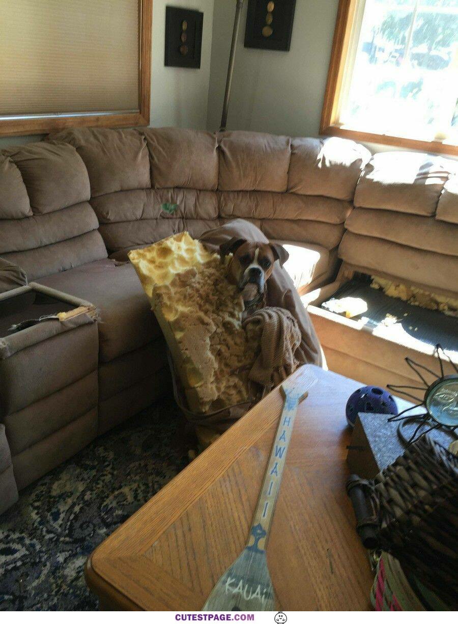 Got The Couch