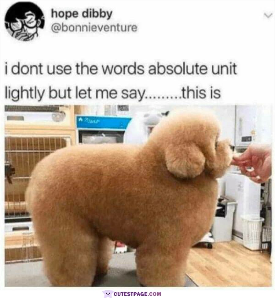 An Absolute Unit