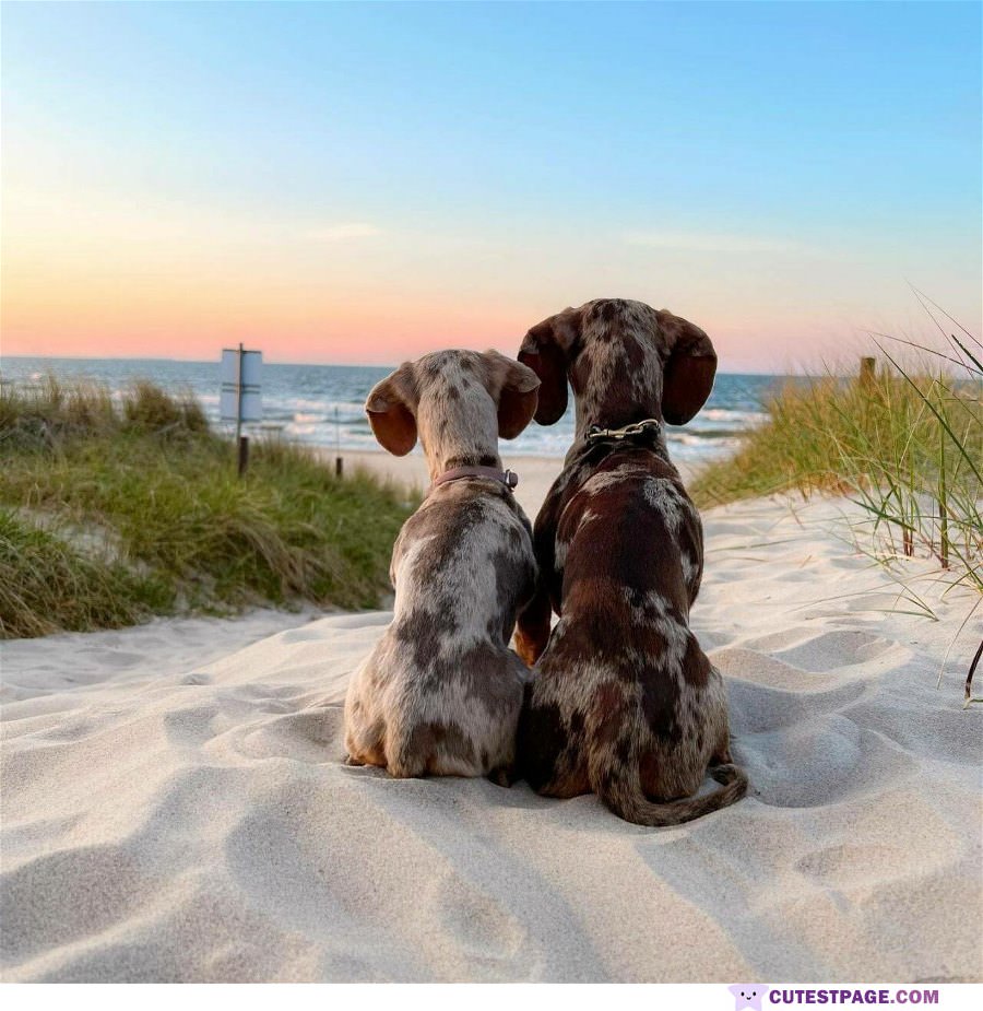 Chilling At The Beach