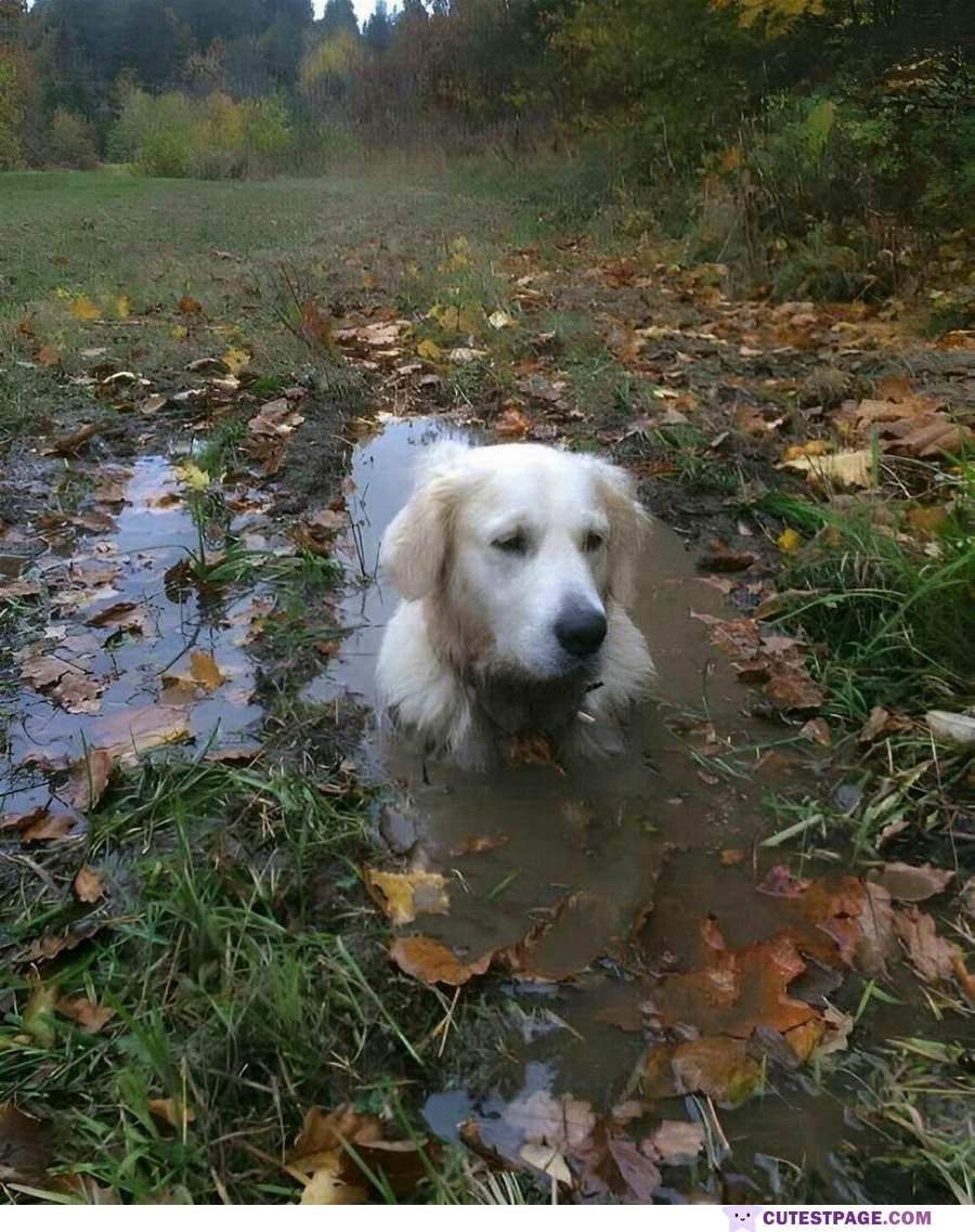 In The Mud