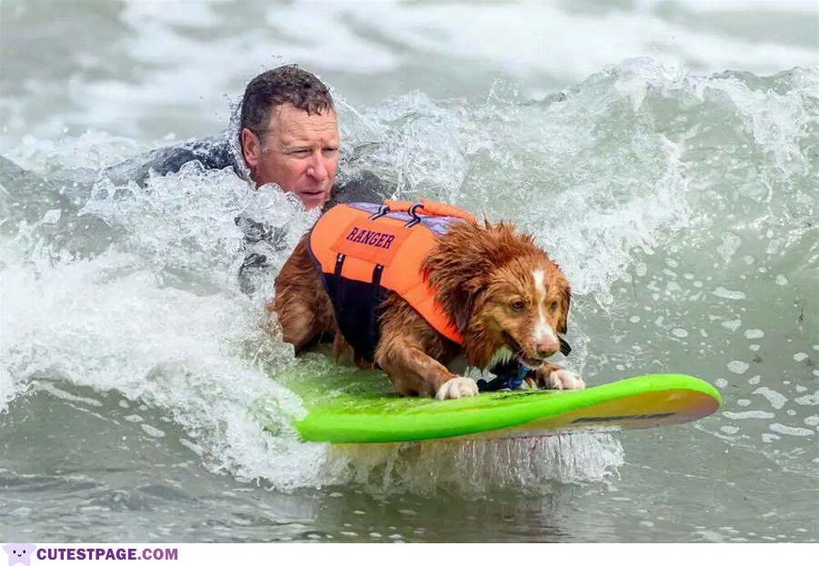 Learning To Surf