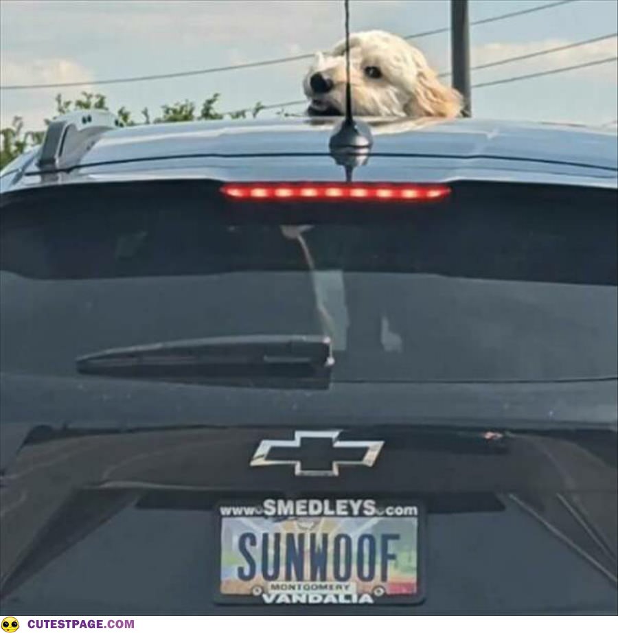 Sunwoof