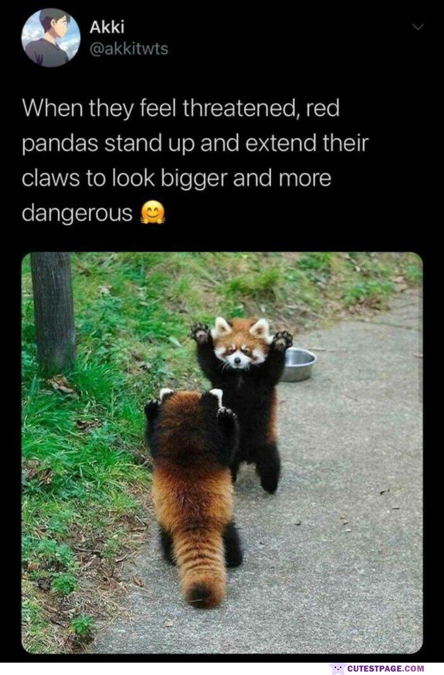 Very Dangerous