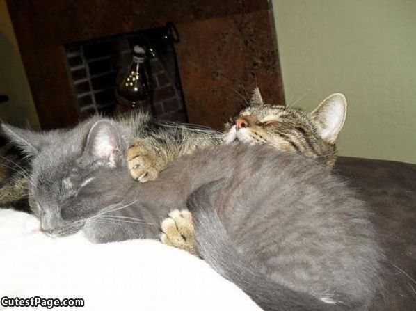 All Curled Up Here