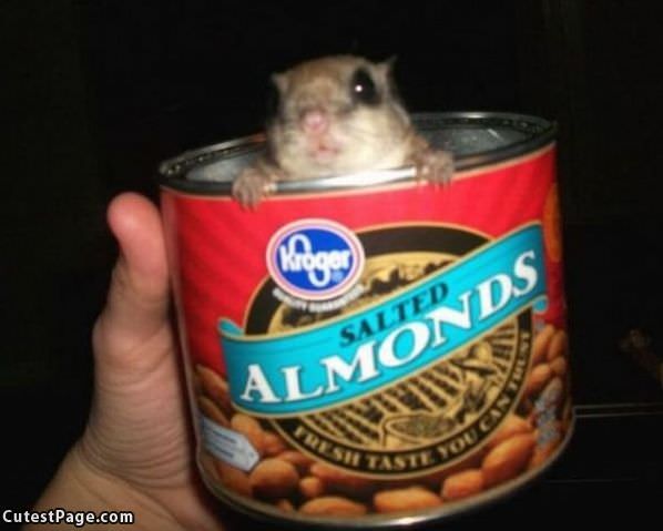 Almonds