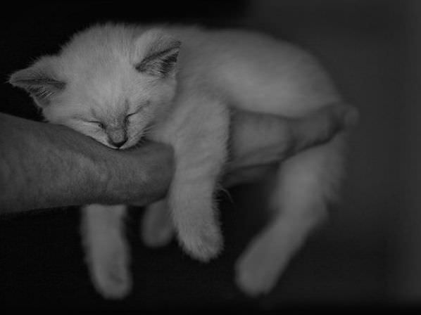 Asleep On The Hand