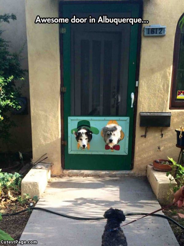 Awesome Dog Door