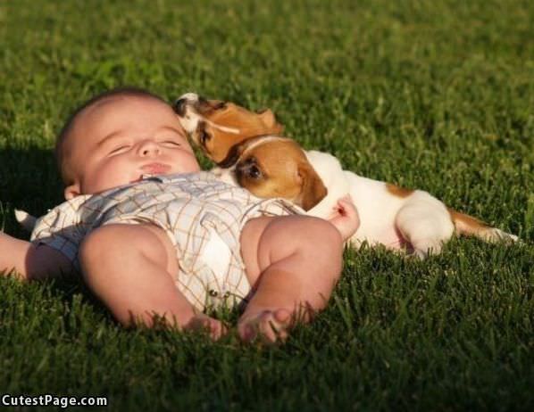 Baby And Puppies
