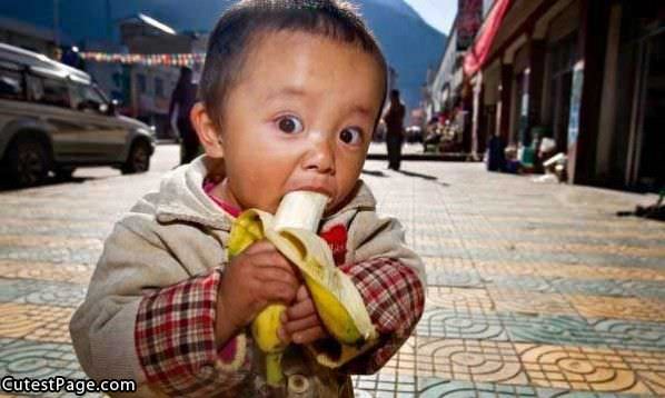 Bananas Are His Favorite