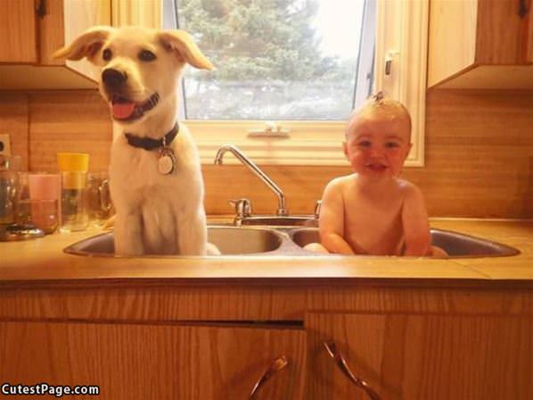 Bath Time In The Sink