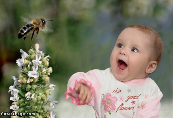Bee Likes Flowers