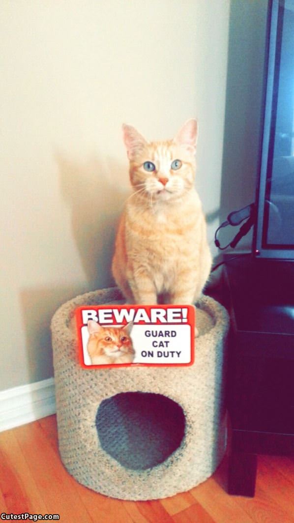 Beware