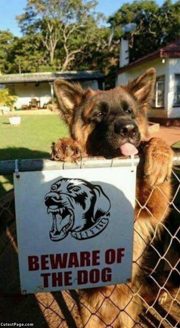 Beware Of The Dog