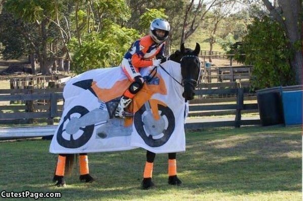 Bike Horse