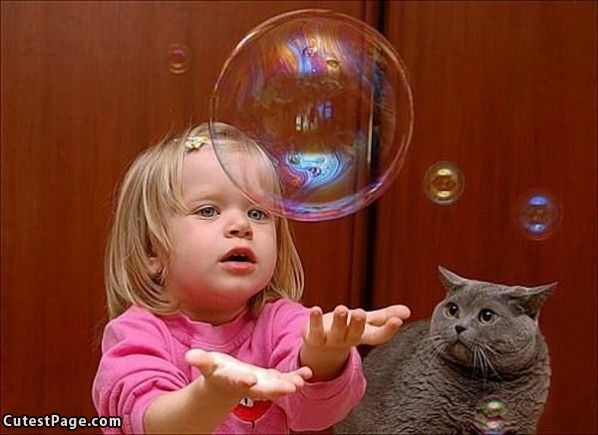 Bubbles