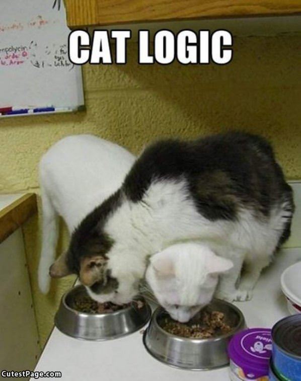 Cat Logic