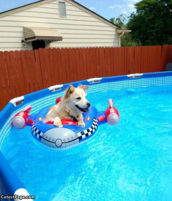 Chillin In The Pool