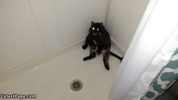 Chillin In The Shower