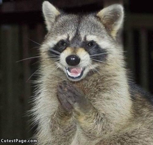 Clapping