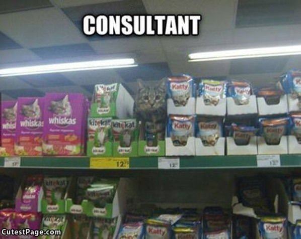 Consultant