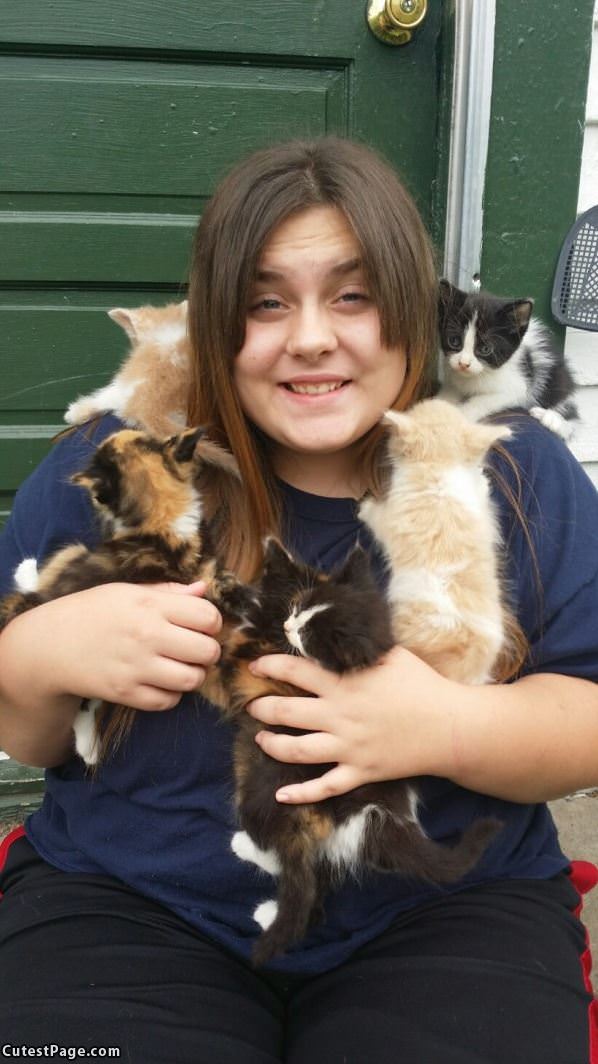 Covered In Kittens