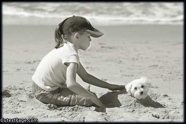 Covered In Sand