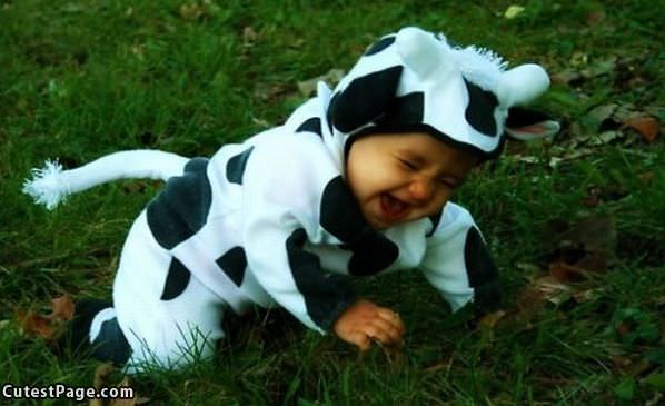 Cow Baby