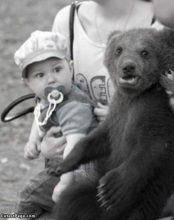 Cute Bear And Kid