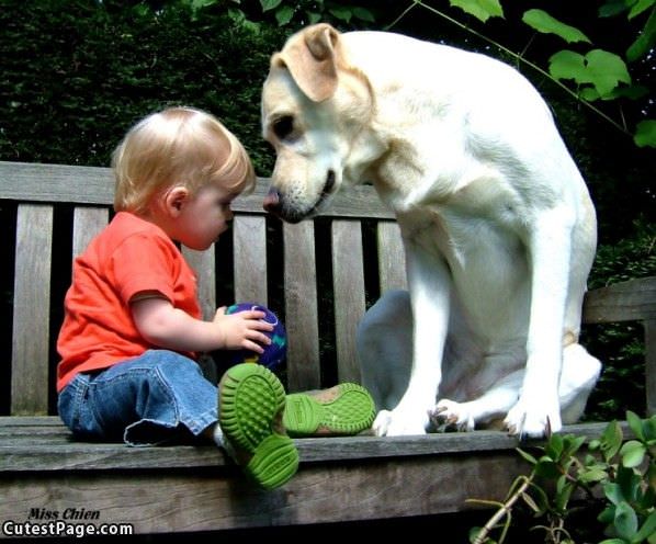 Cute Dog And Kid