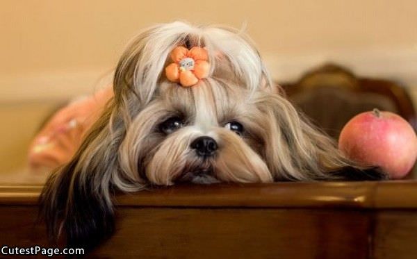 Cute Hair