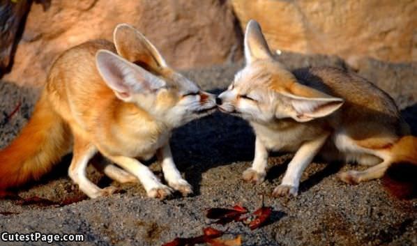 Cute Kiss