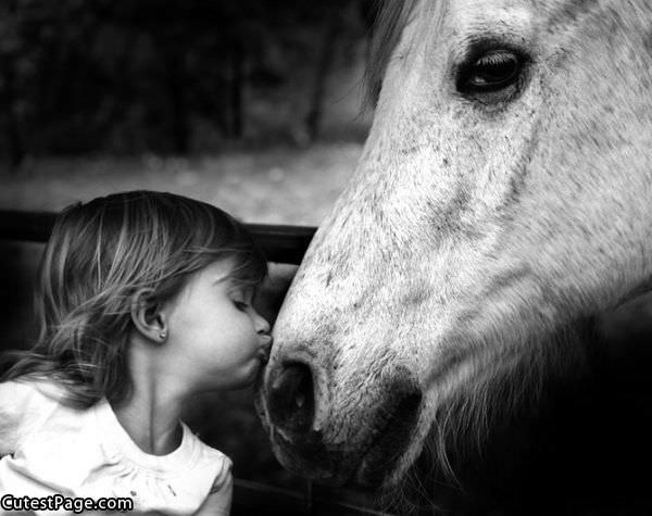 Cute Kiss Here