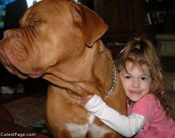 Cute Little Girl And Big Dog