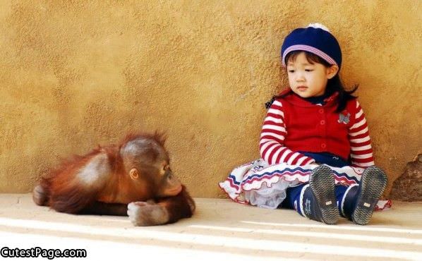 Cute Monkey And Small Girl