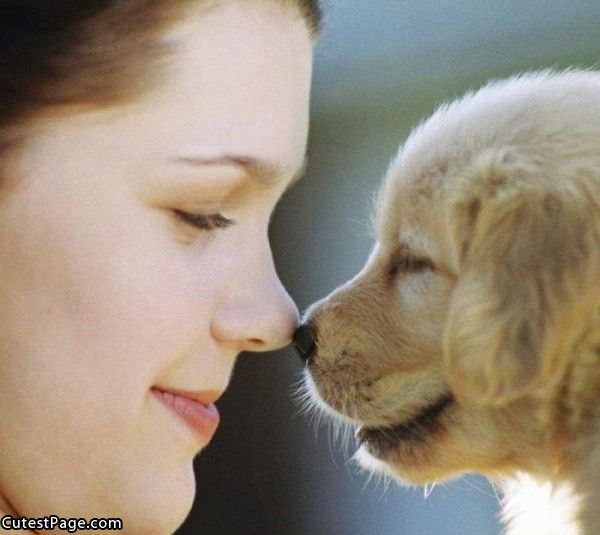 Cute Nose Touch
