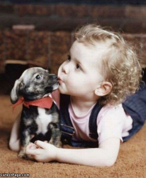 Cute Puppy Kiss