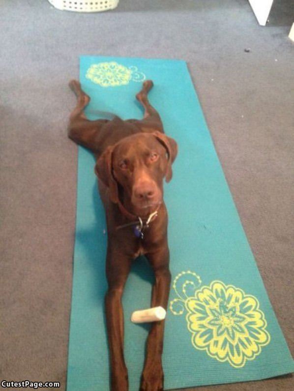 Doing Some Yoga