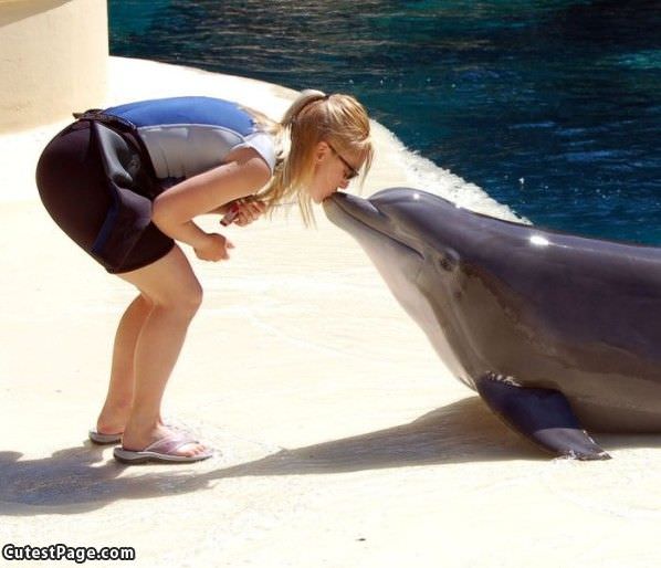 Dolphin Kiss