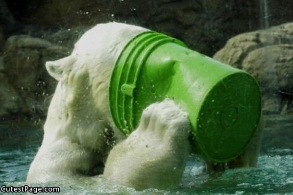 Drinking From The Bucket