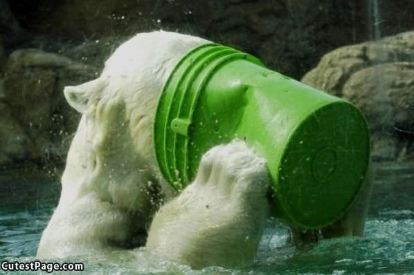 Drinking From The Bucket