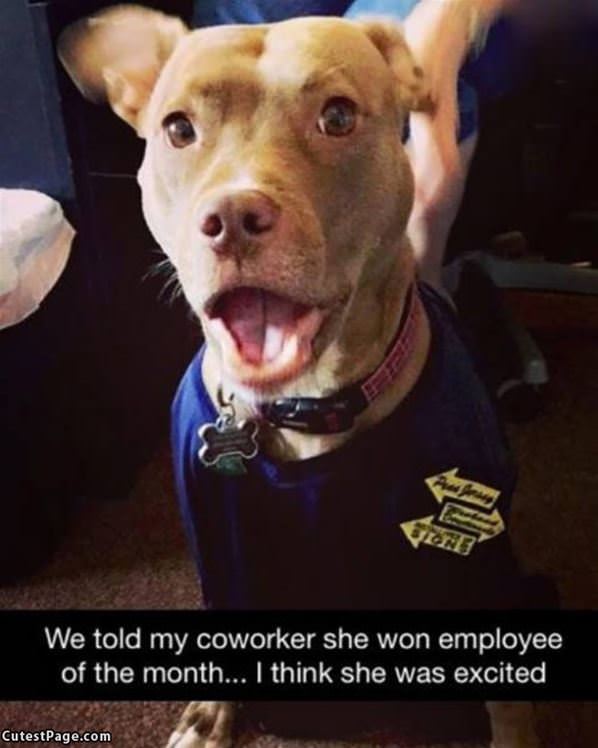 Employee Of The Month