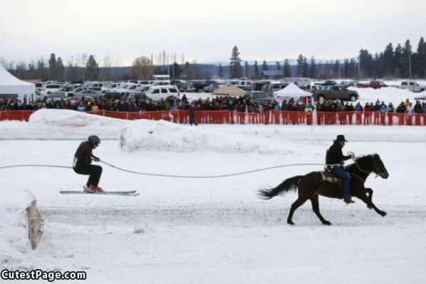 Epic Horse Skiing