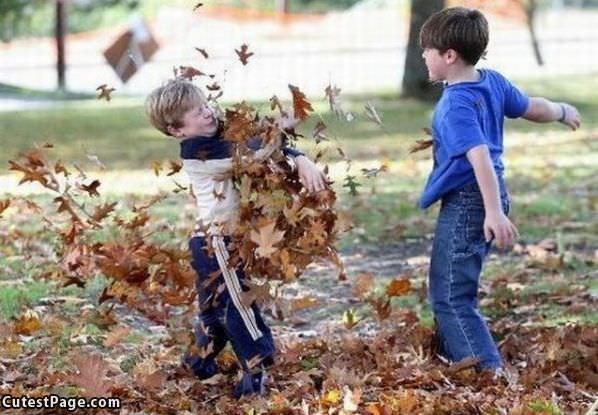 Fall