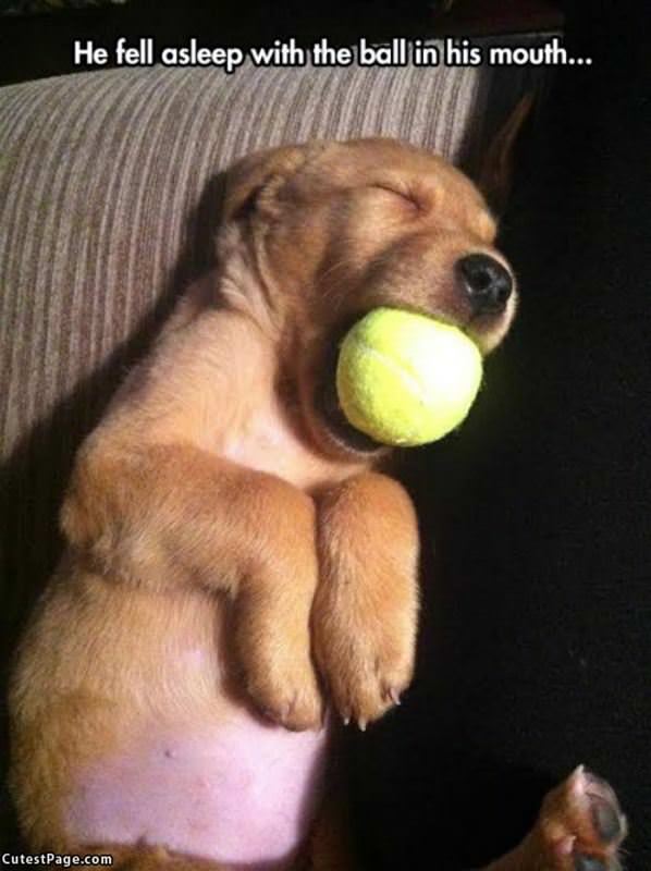 Fell Asleep With His Ball