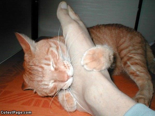 Foot Massage