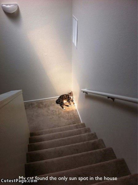 Found The Sun Spot