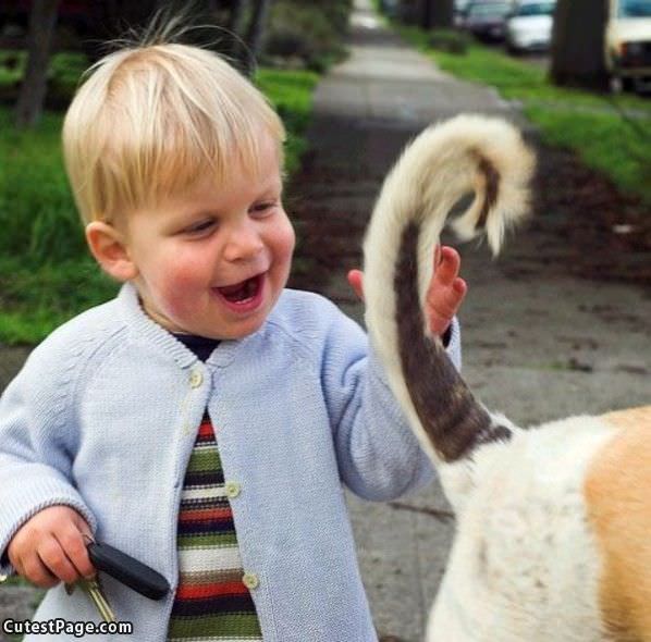 Funny Tail