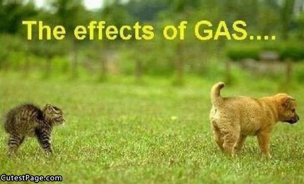 Gas