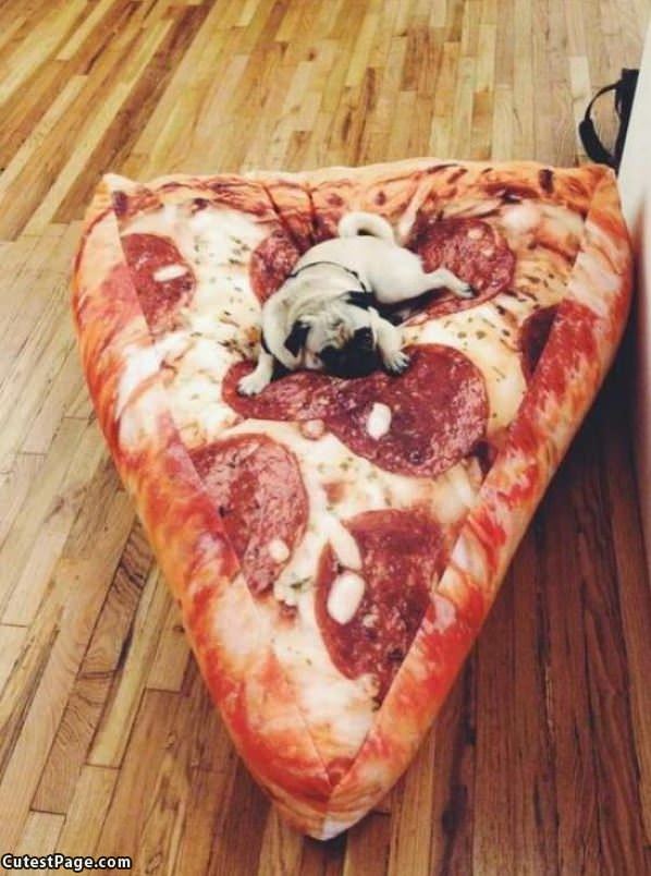 Giant Pizza Bed Pug